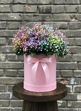 Цветочная композиция из Гипсофила и Розы в шляпной коробке #REPLACE_PRED# Гуково