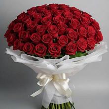 Букет 101 Красная роза Блэк Мэджик в Гуково