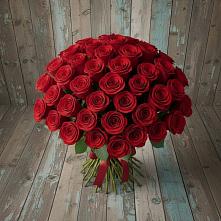 Букет 55 Красных роз Фридом #REPLACE_PRED# Гуково