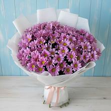 Букет цветов из:  Хризантемы в Гуково