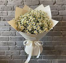 Букет цветов из:  Ромашки #REPLACE_PRED# Гуково