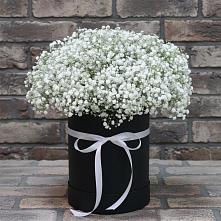 Цветочная композиция из Гипсофила в шляпной коробке в Гуково